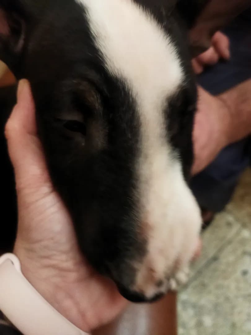 carousel-image-mobile-4