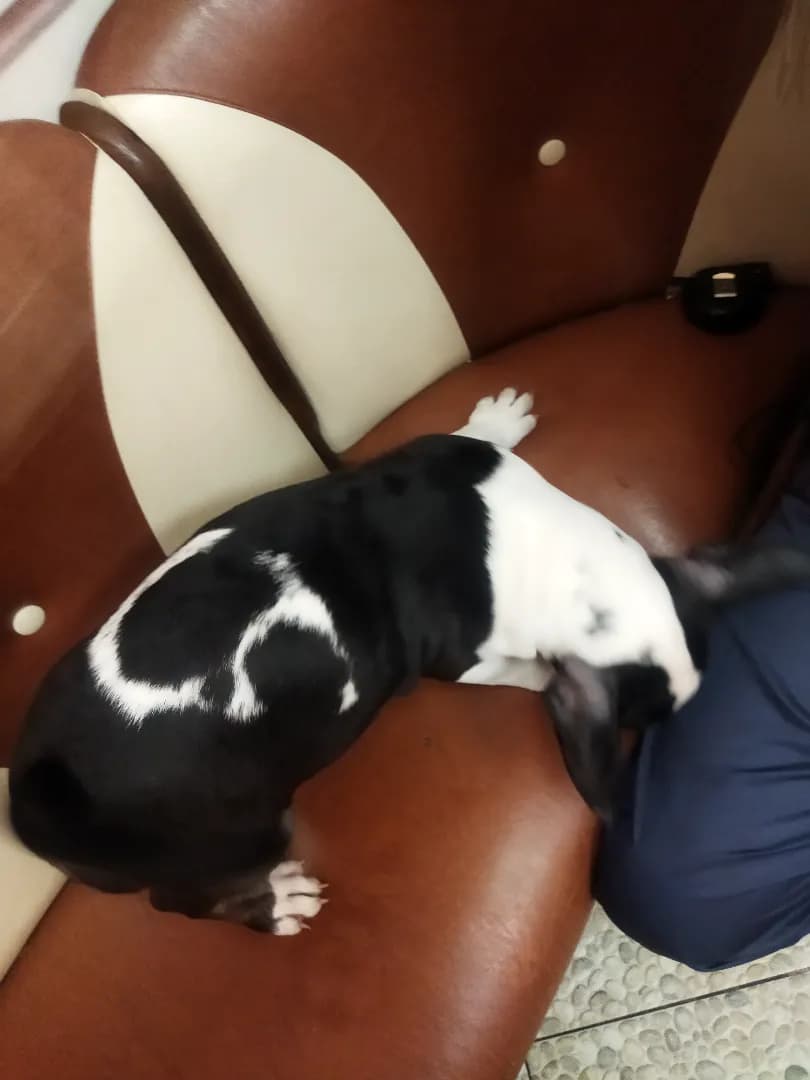 carousel-image-mobile-5