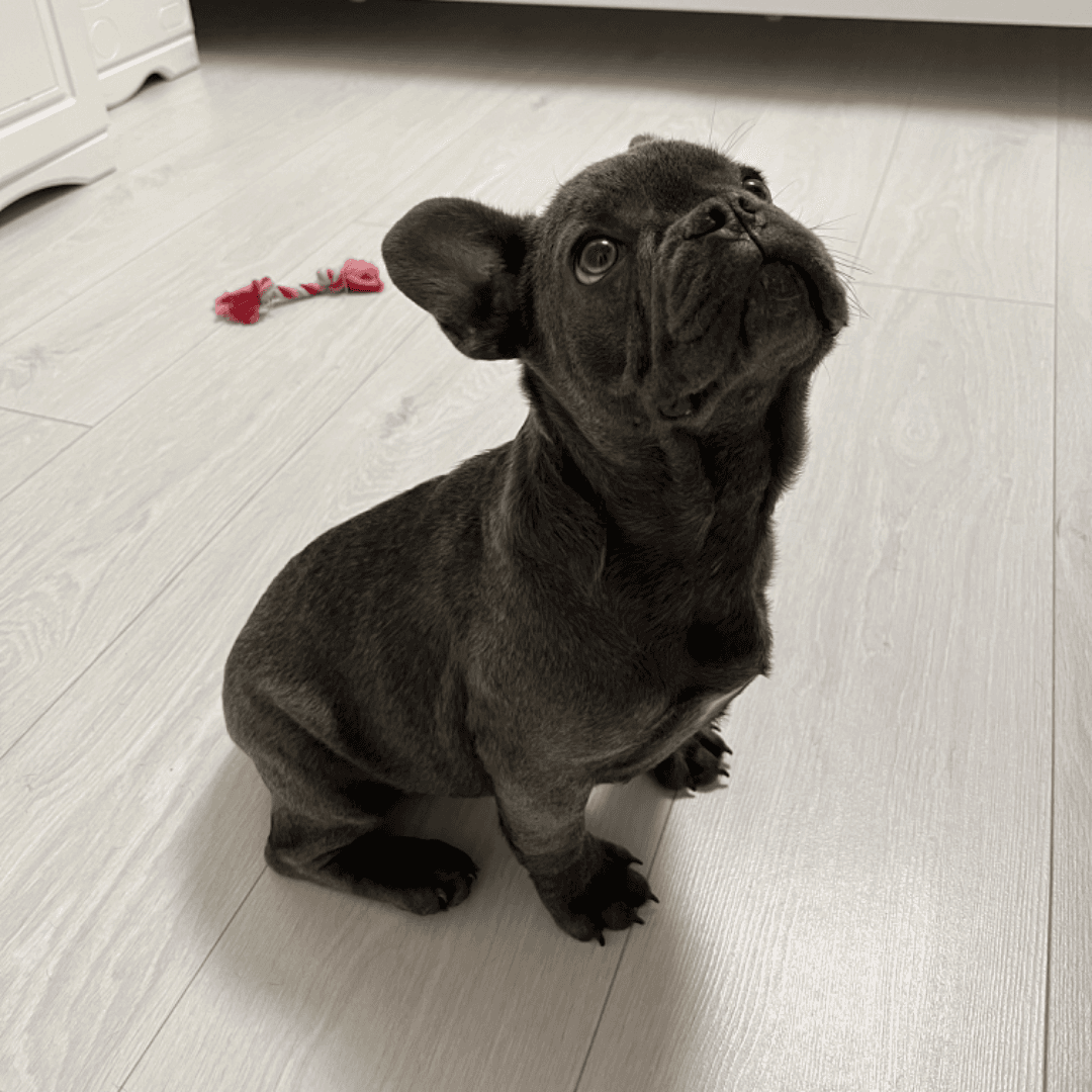 carousel-image-mobile-1