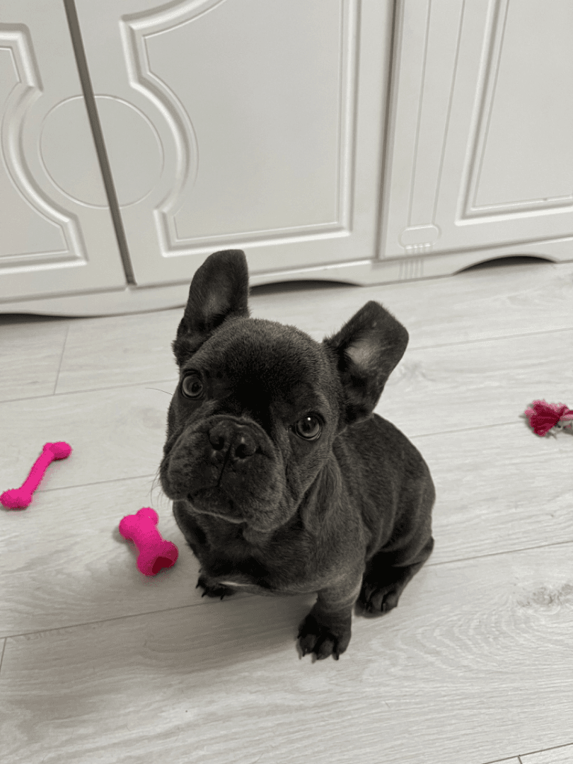 carousel-image-mobile-2