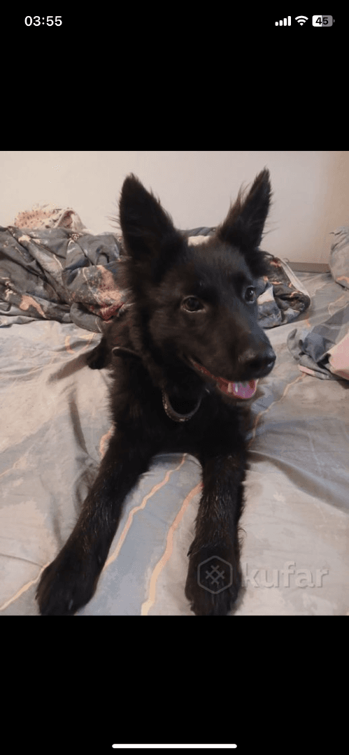 carousel-image-mobile-1