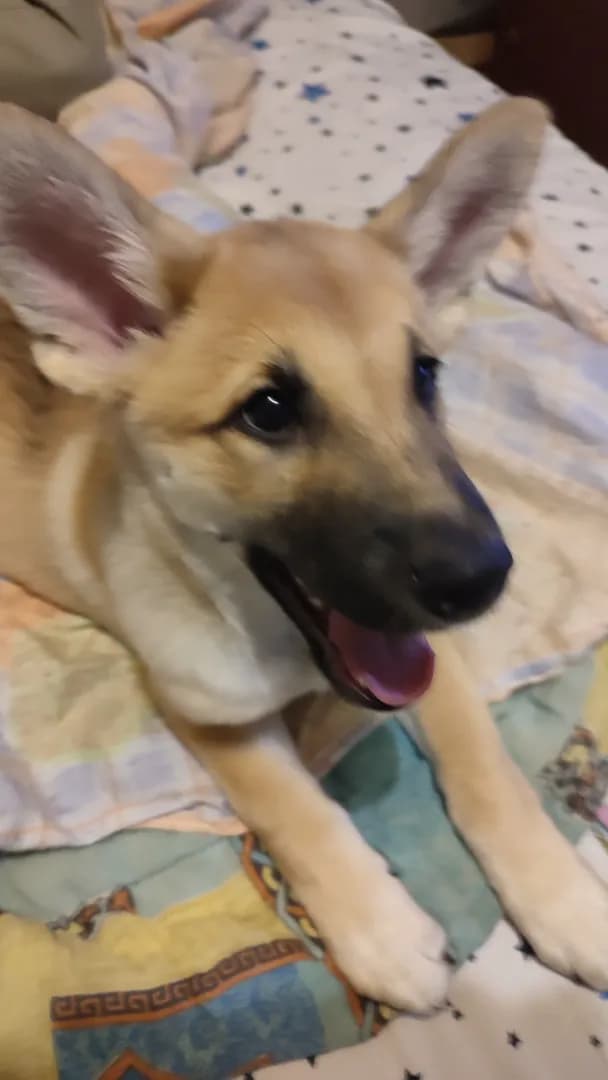 carousel-image-mobile-1