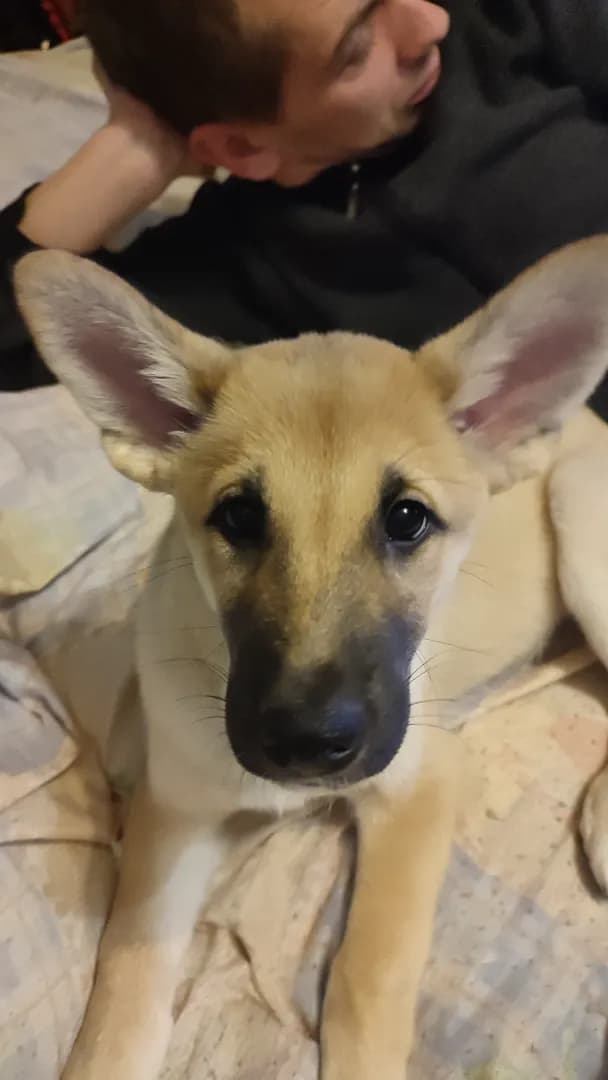 carousel-image-mobile-2