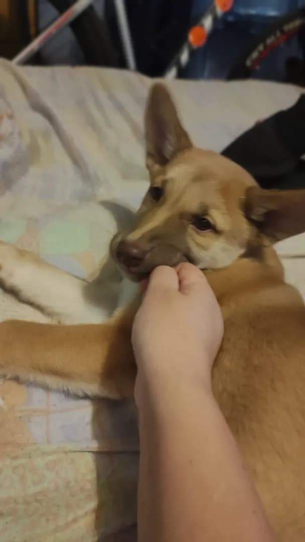 carousel-image-mobile-3