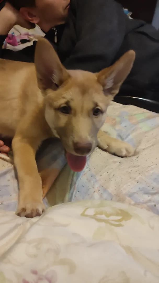 carousel-image-mobile-4