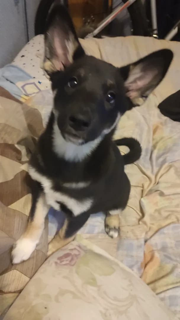 carousel-image-mobile-5