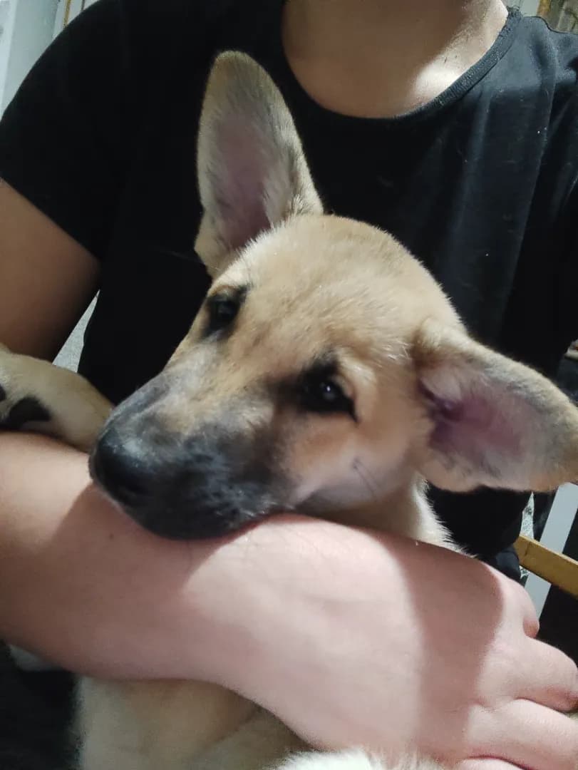 carousel-image-mobile-6