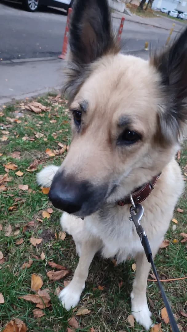 carousel-image-mobile-7