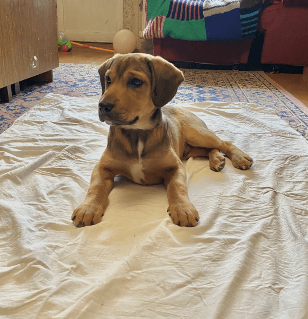 carousel-image-mobile-1