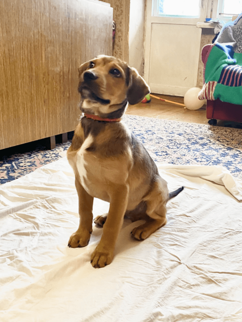 carousel-image-mobile-2