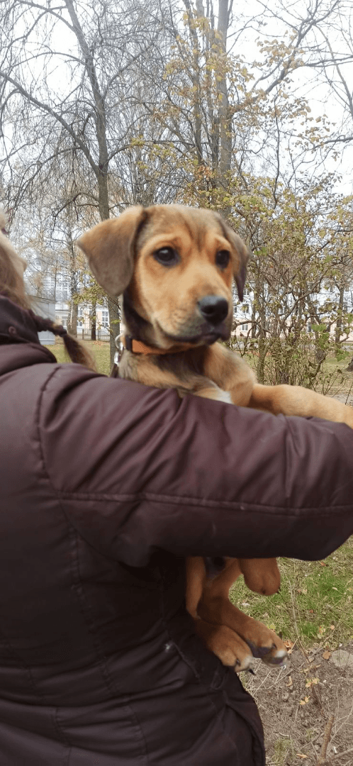 carousel-image-mobile-3