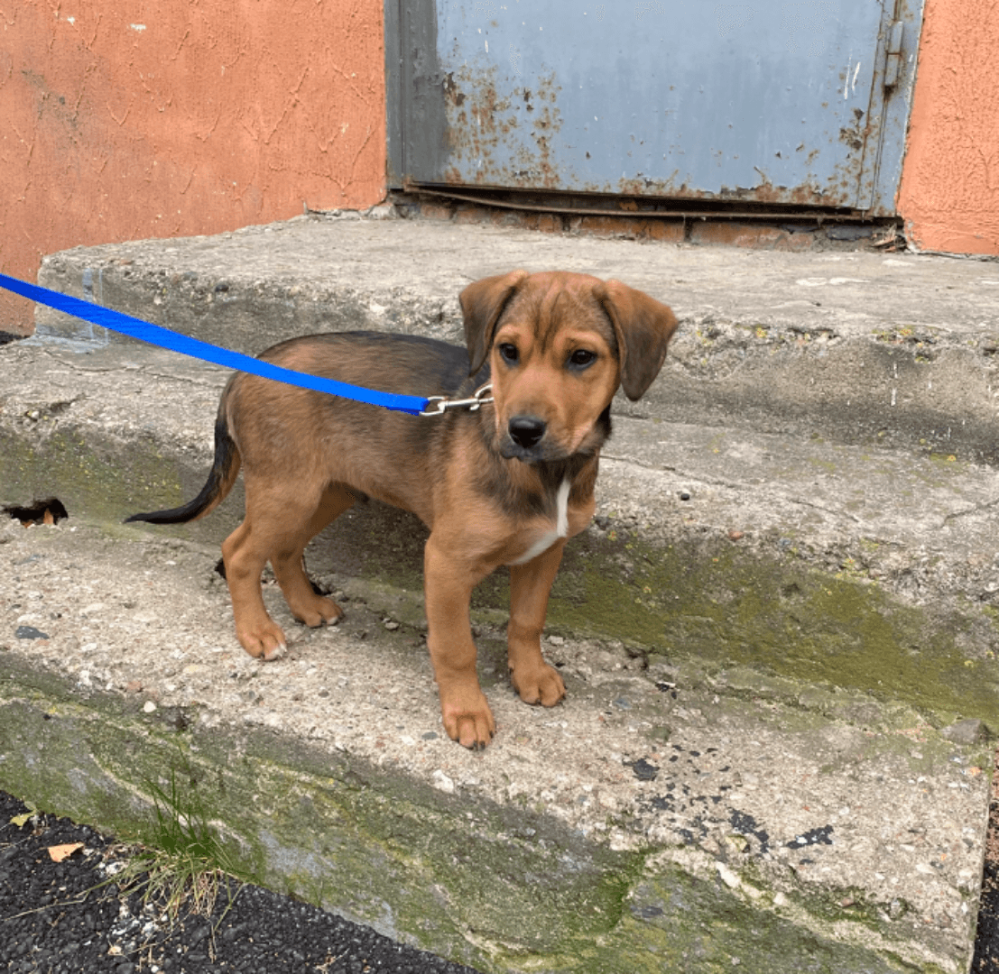 carousel-image-mobile-5