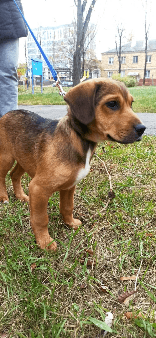 carousel-image-mobile-6