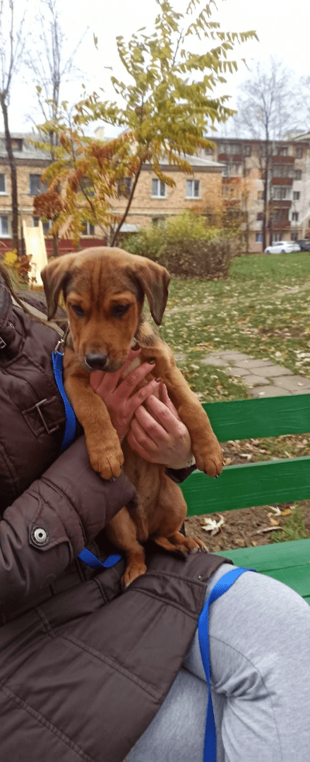 carousel-image-mobile-7