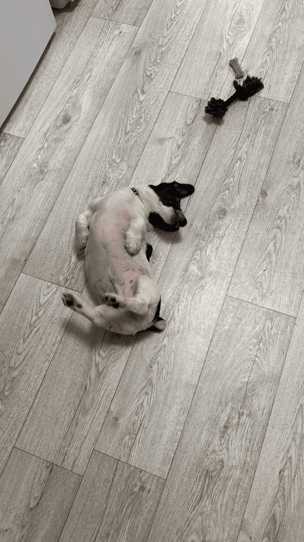 carousel-image-mobile-1