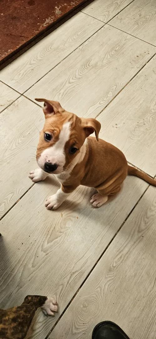 carousel-image-mobile-1