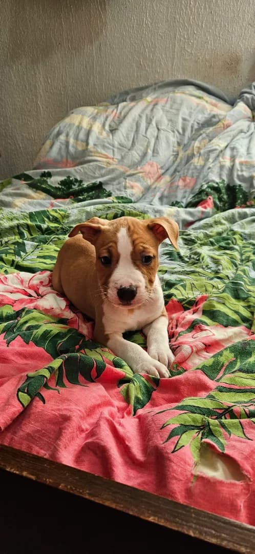 carousel-image-mobile-2