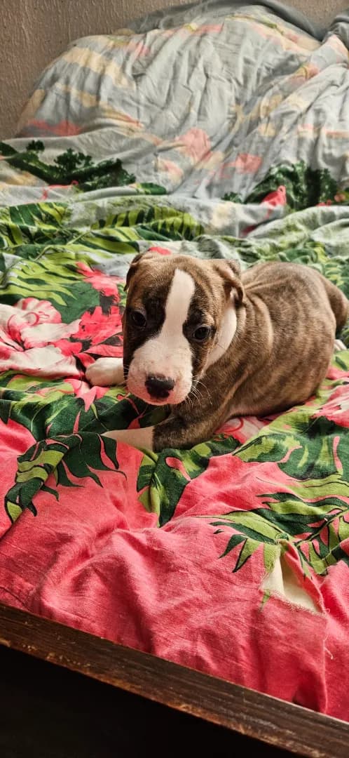 carousel-image-mobile-3