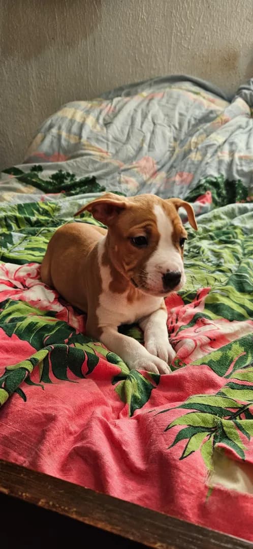 carousel-image-mobile-4