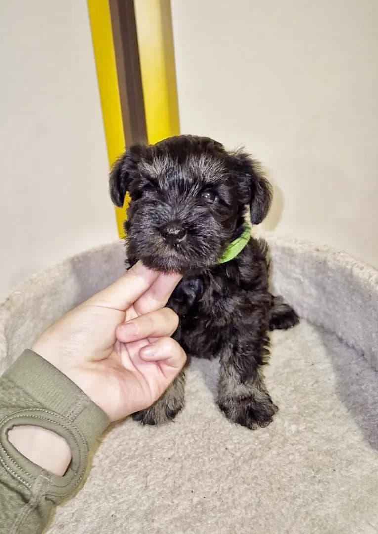 carousel-image-mobile-1