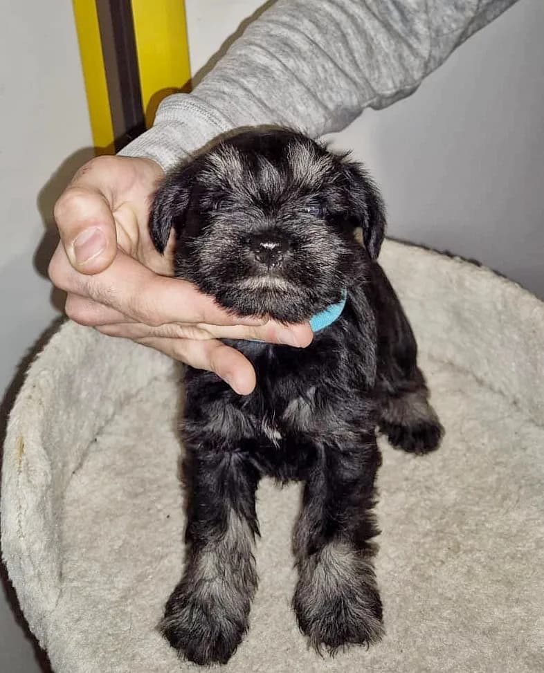 carousel-image-mobile-2