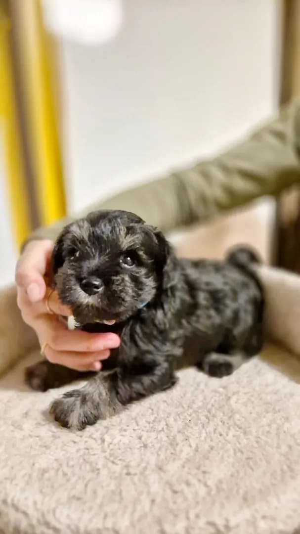 carousel-image-mobile-3