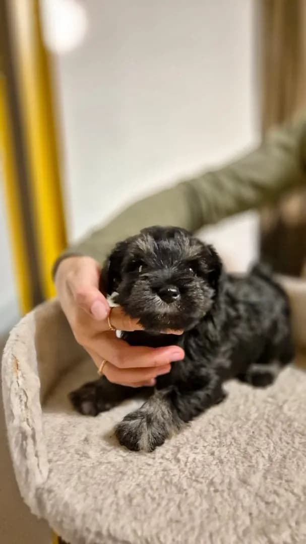 carousel-image-mobile-4