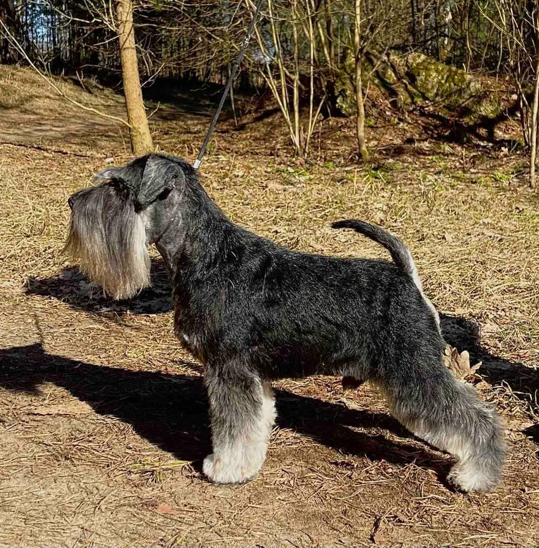 carousel-image-mobile-6