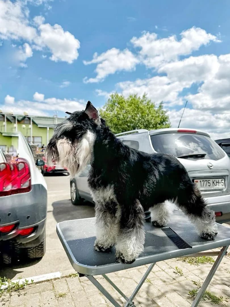 carousel-image-mobile-7