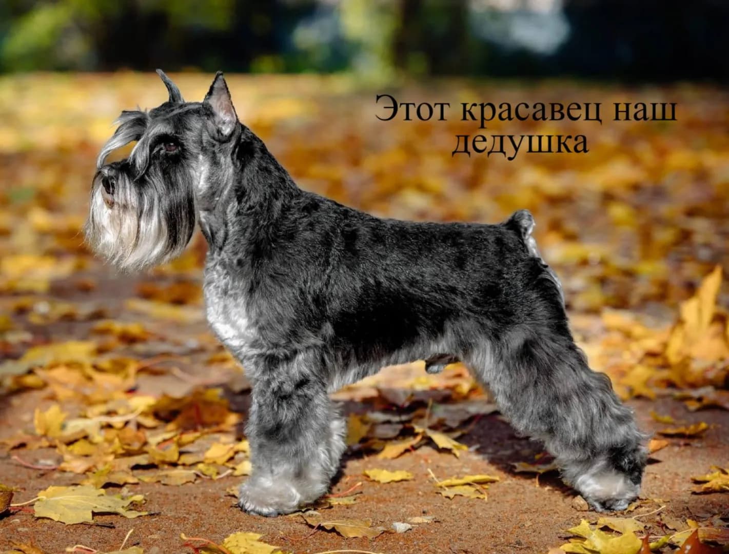 carousel-image-mobile-8