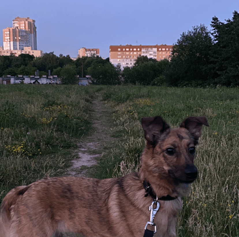 carousel-image-mobile-1