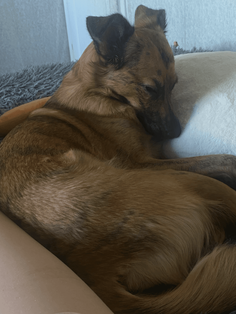 carousel-image-mobile-2