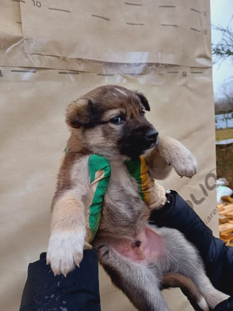 carousel-image-mobile-1