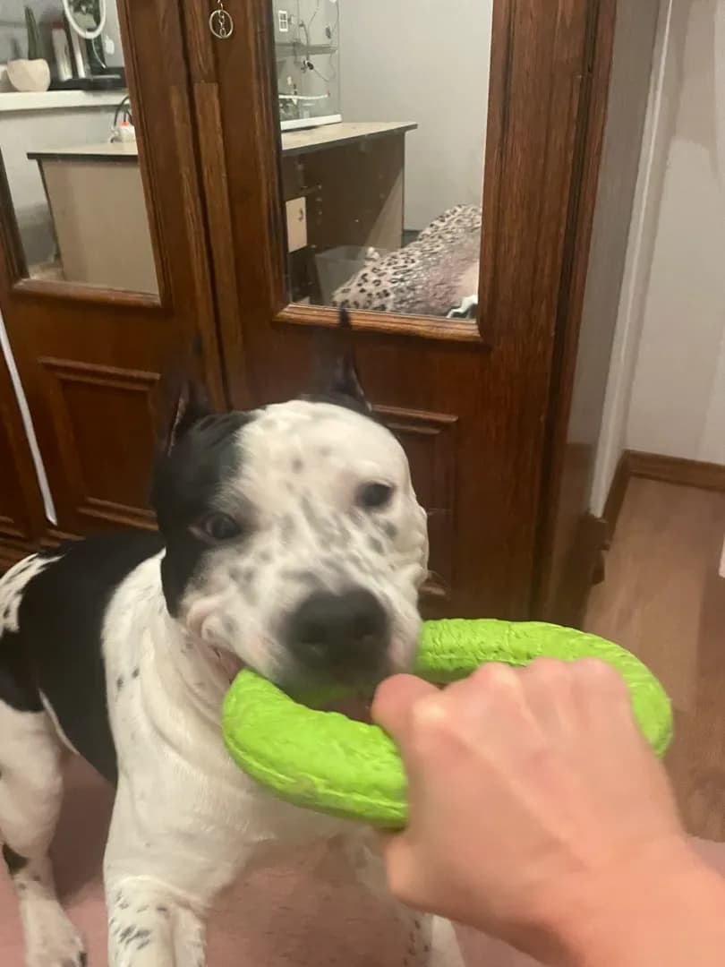 carousel-image-mobile-1