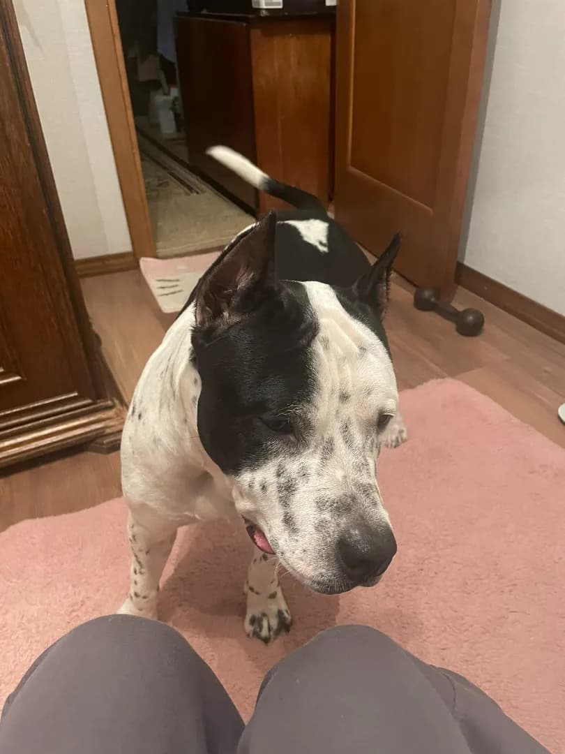 carousel-image-mobile-2