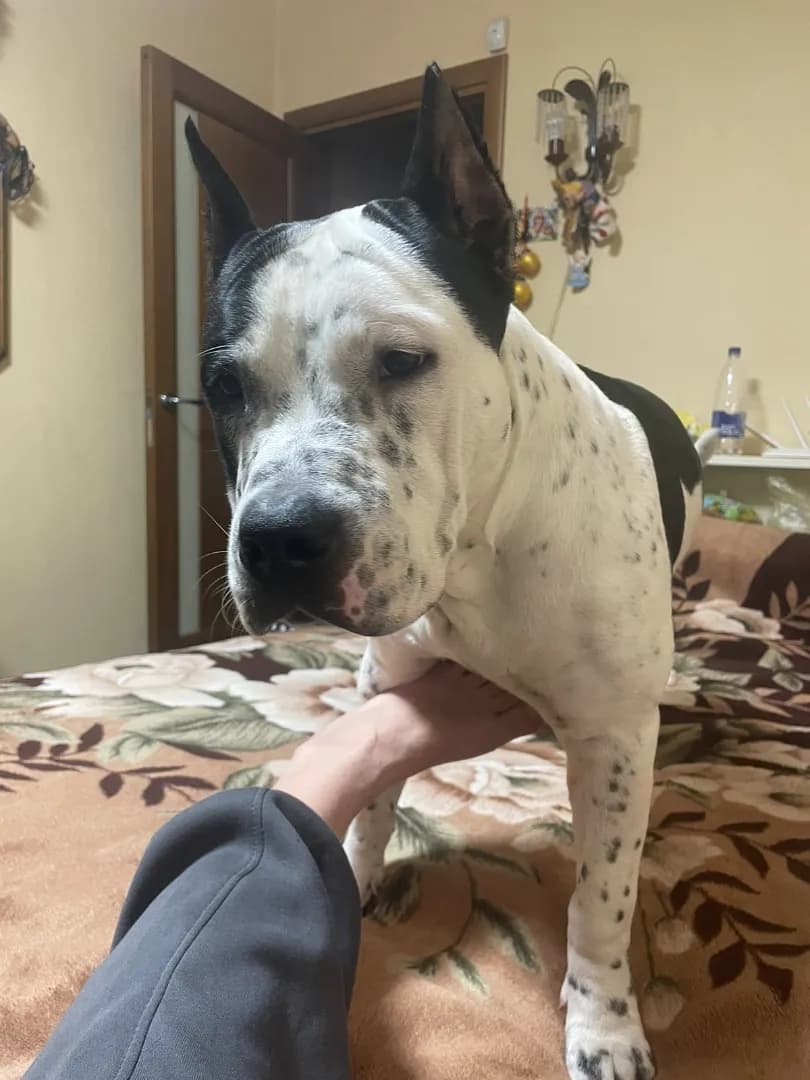 carousel-image-mobile-5