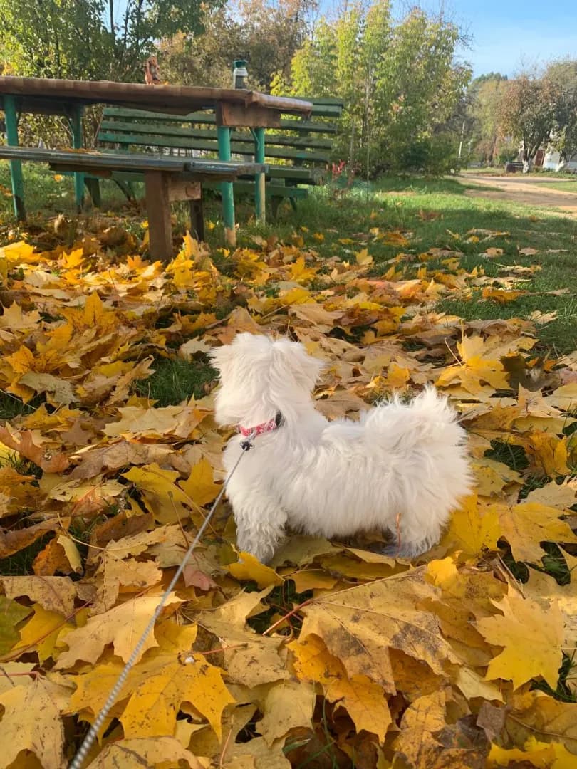 carousel-image-mobile-1