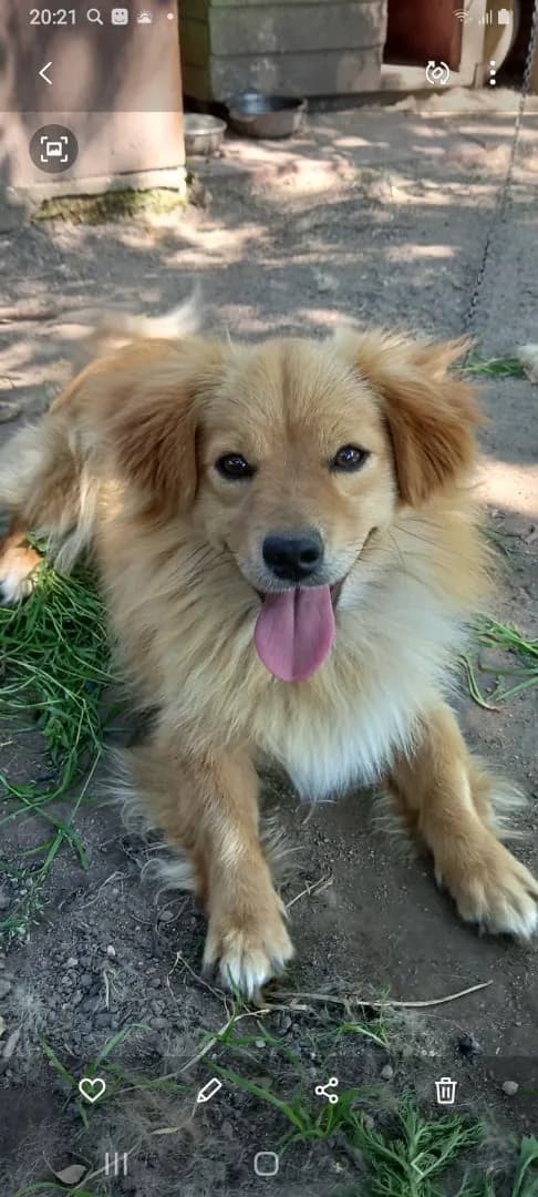 carousel-image-mobile-1