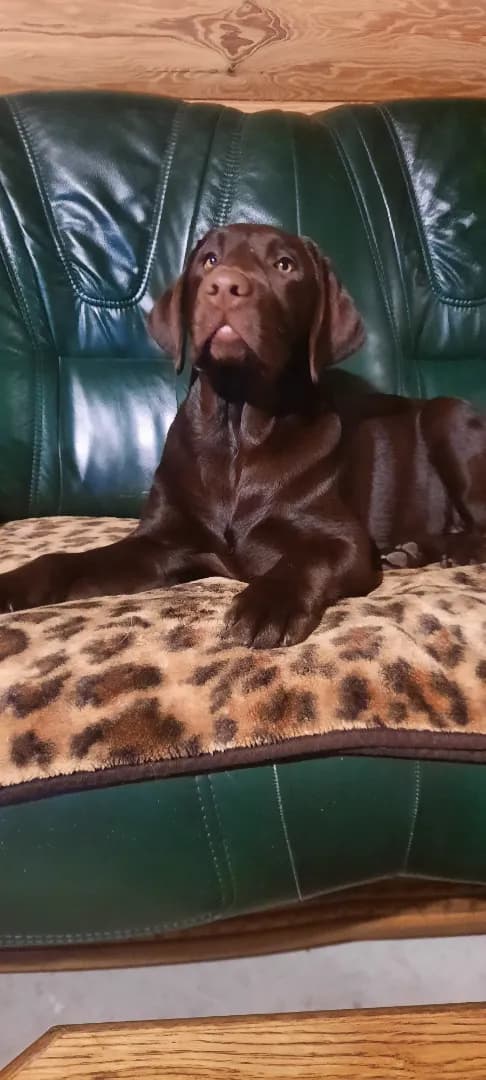 carousel-image-mobile-1