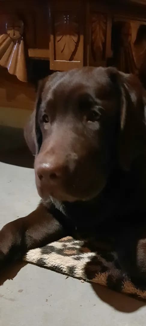 carousel-image-mobile-2