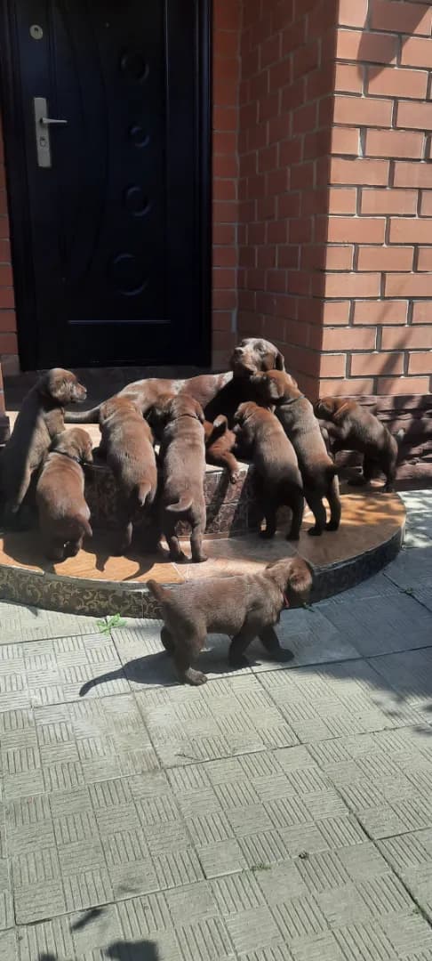 carousel-image-mobile-3