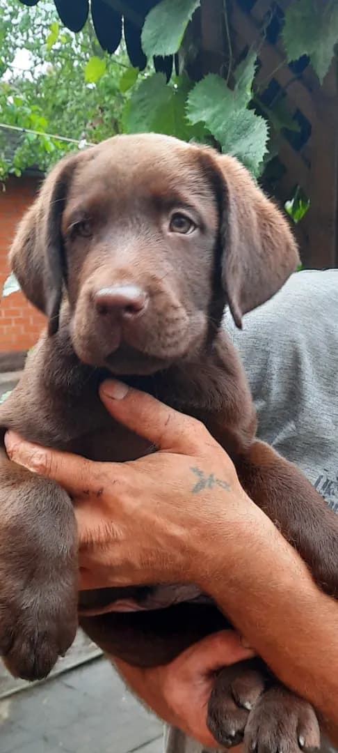 carousel-image-mobile-4