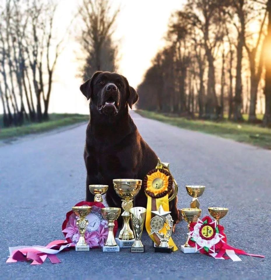 carousel-image-mobile-5