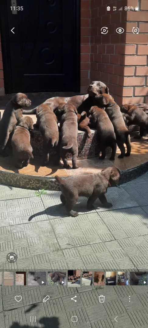 carousel-image-mobile-6