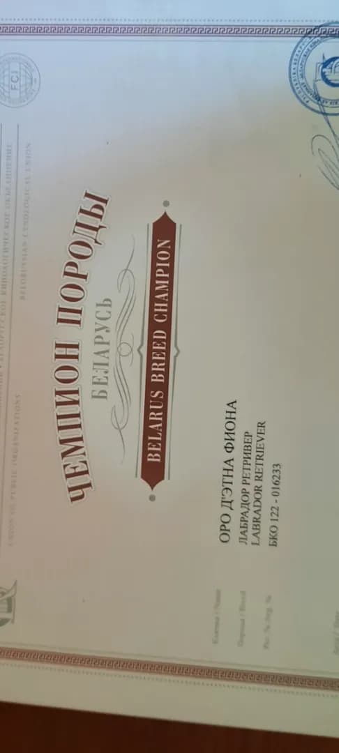 carousel-image-mobile-7