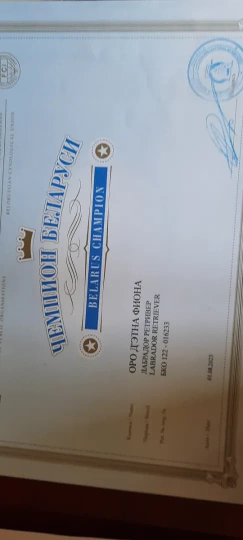 carousel-image-mobile-8