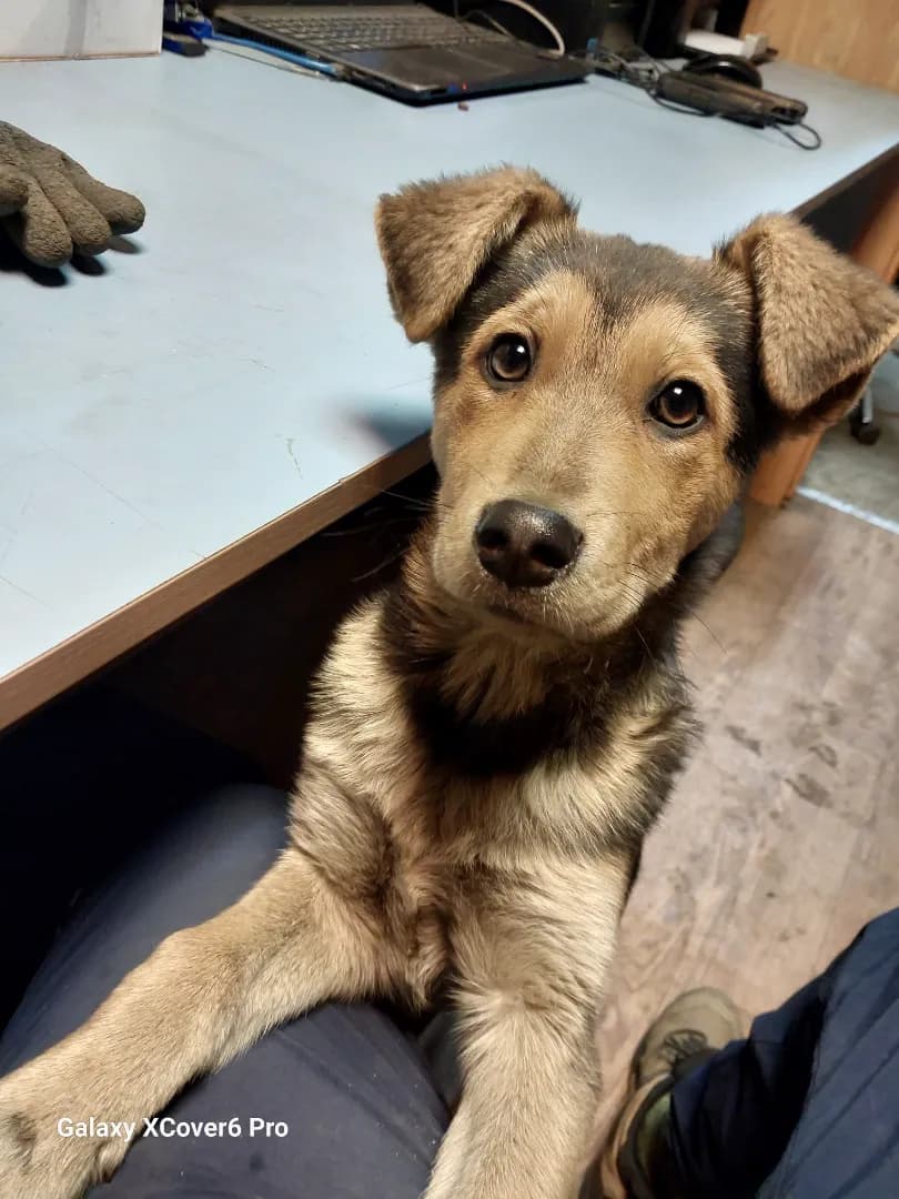 carousel-image-mobile-1