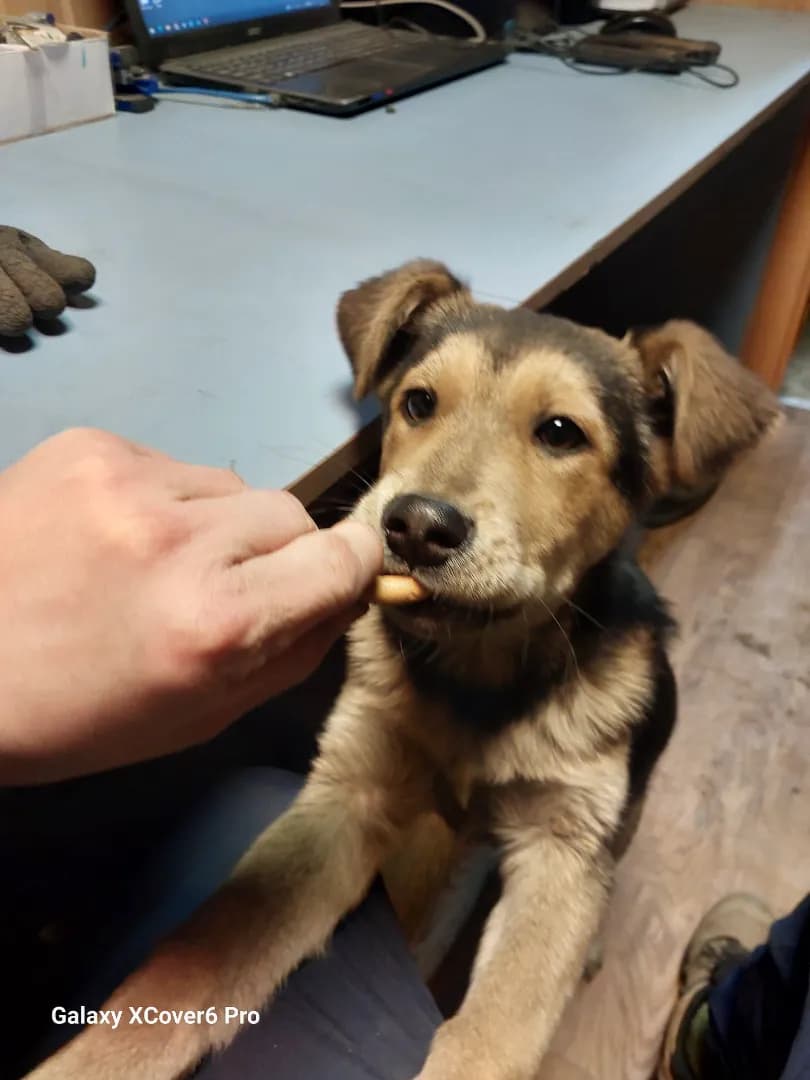 carousel-image-mobile-2