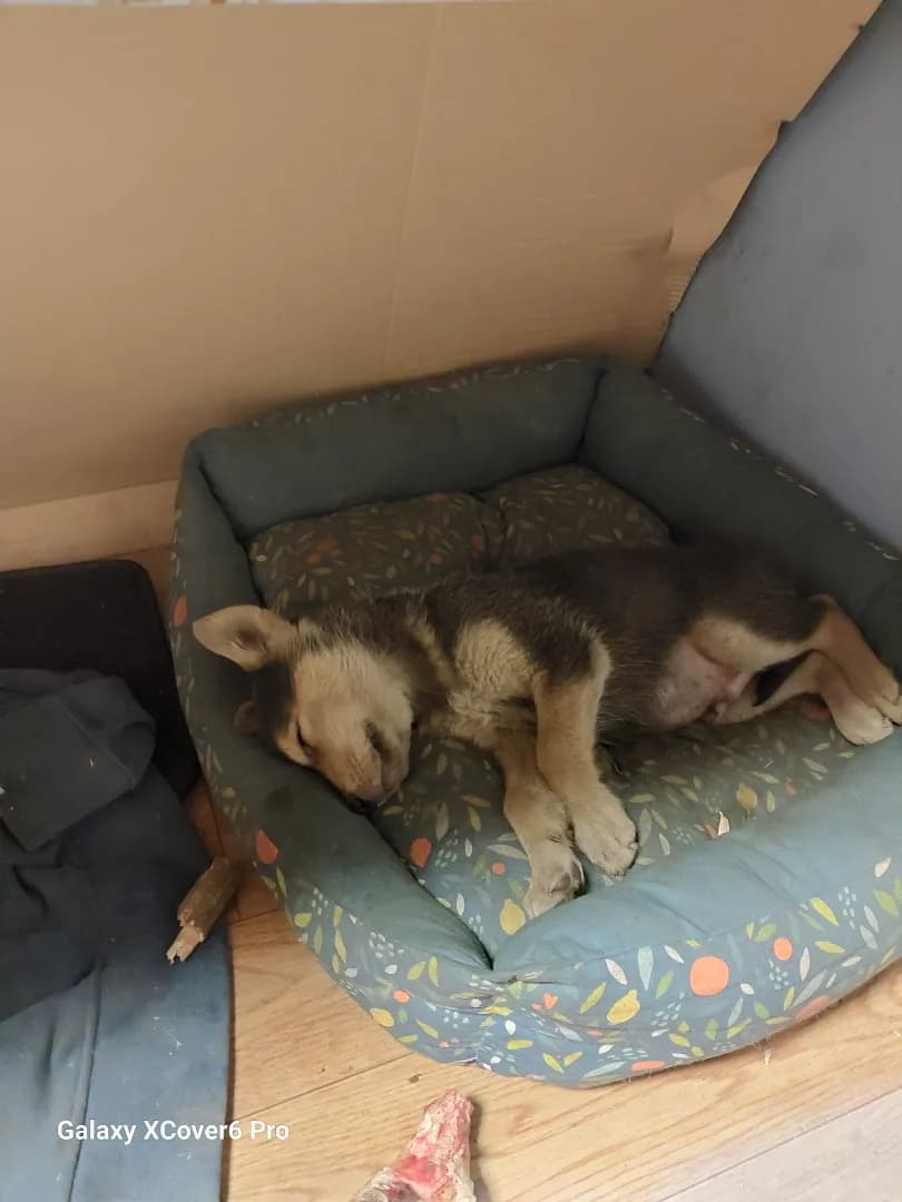 carousel-image-mobile-4