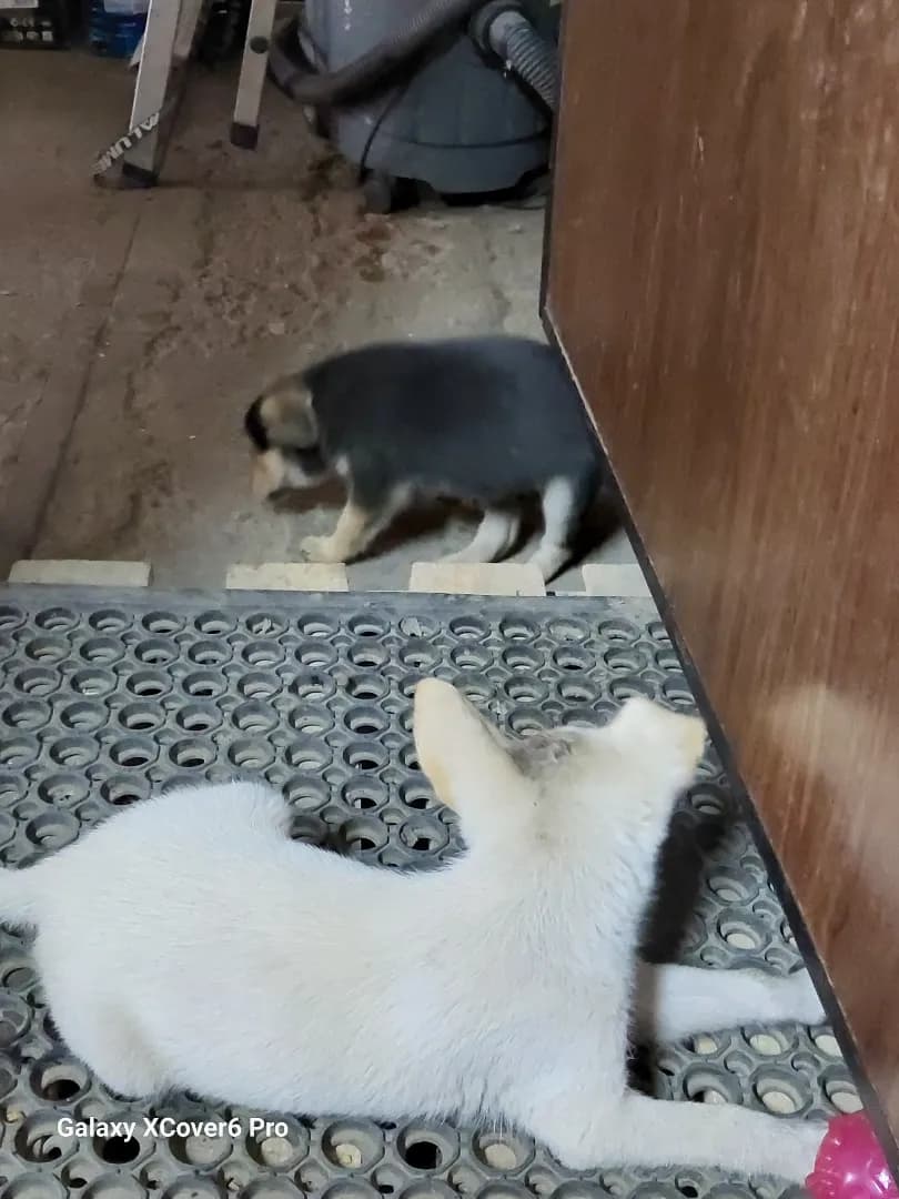 carousel-image-mobile-6